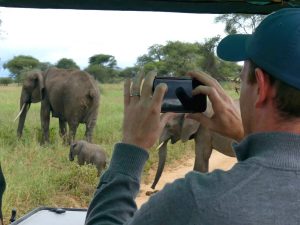 Classic Tanzania Family Safari