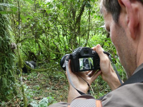 Uganda Gorilla Trekking Extension