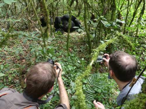 Uganda Gorilla Trekking Extension