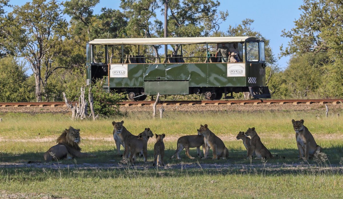 Wilds of Zimbabwe Safari