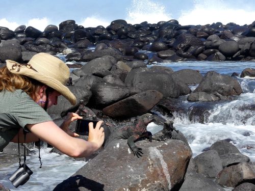 Galapagos Luxury Cruise