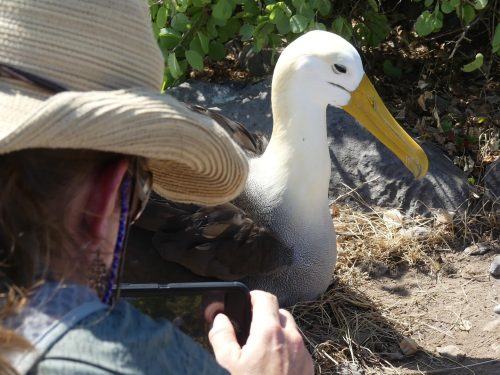 Galapagos Luxury Cruise