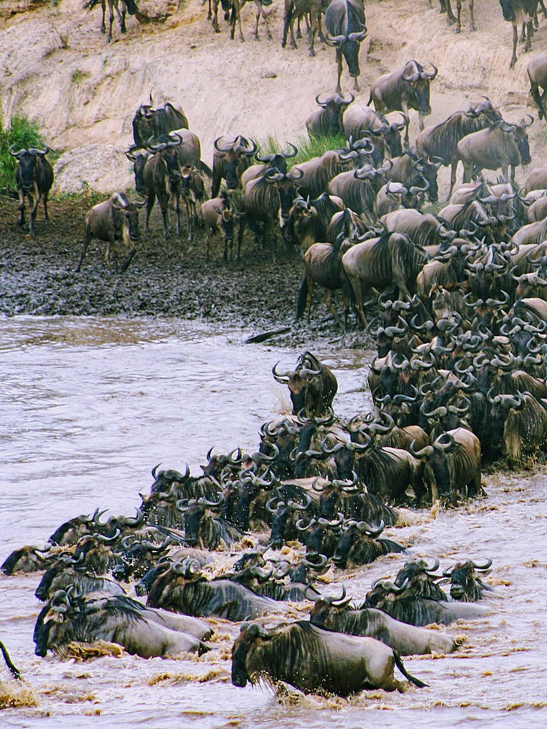 Kenya