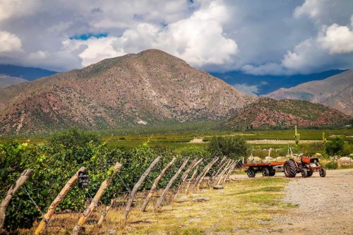 Argentina: Wonders of Wine