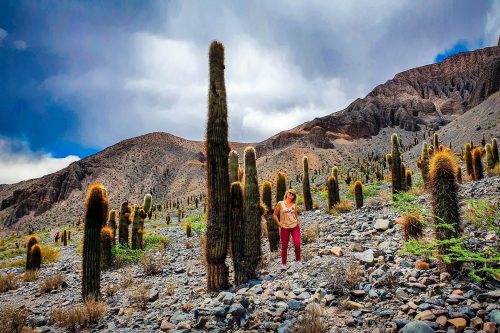 Argentina: Wonders of Wine