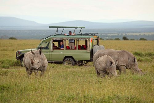 Classic Kenya Safari