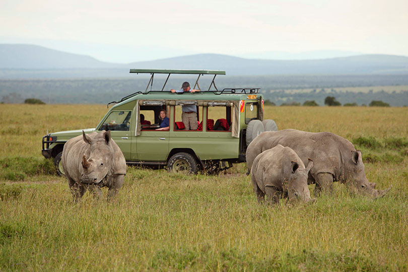 Classic Kenya Safari