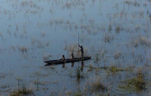 South Africa and Botswana Safari