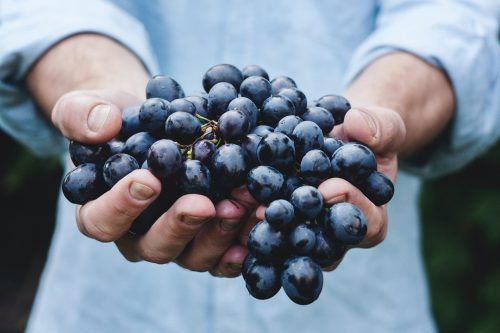 South America Wine Adventure