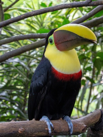 Costa Rica