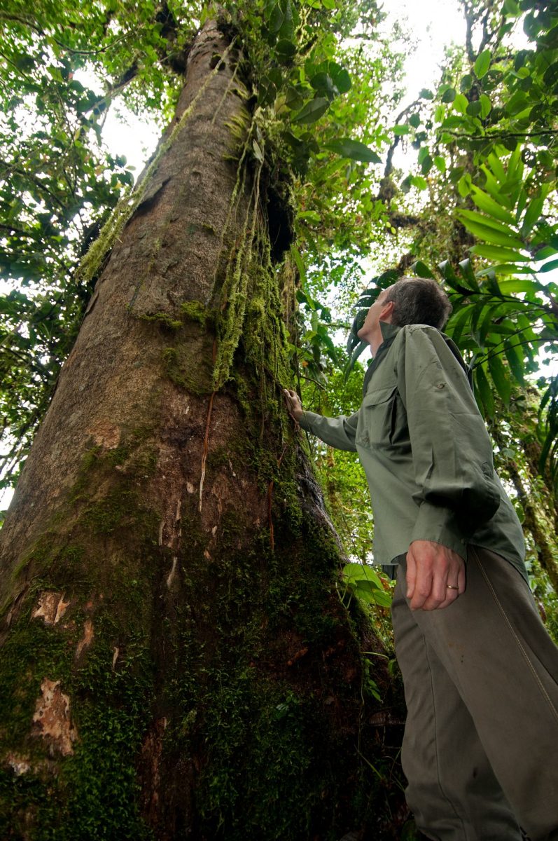 Amazon, Cloud Forest and Andes
