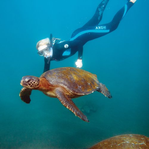 Galapagos Classic Cruise