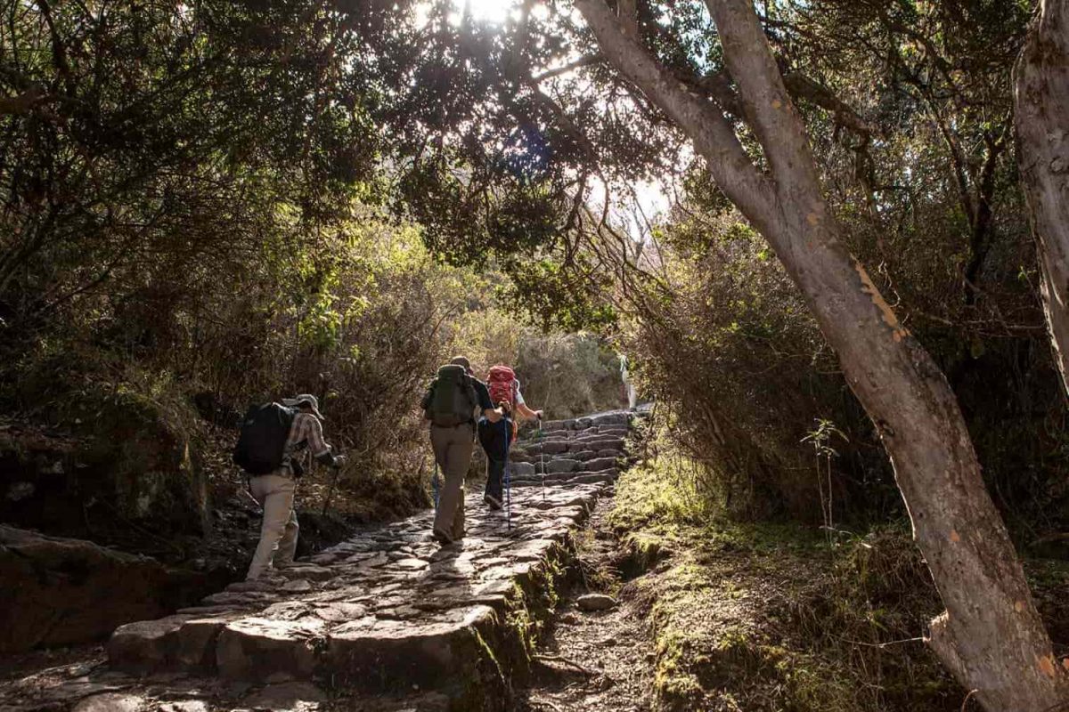 The Inca Trail to Machu Picchu