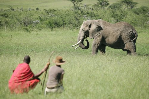 Classic Kenya Safari