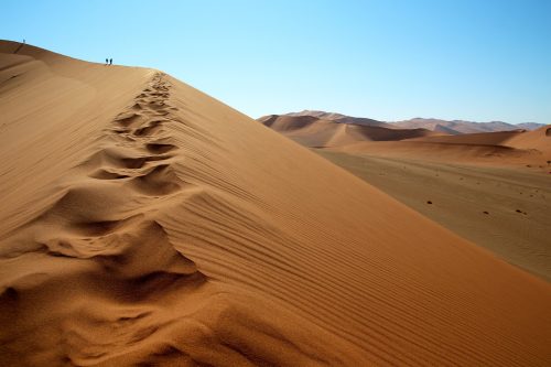Quintessential Namibia