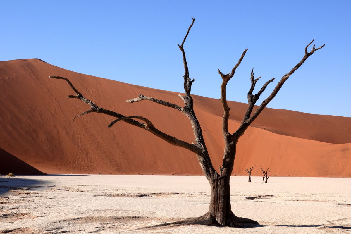 Quintessential Namibia
