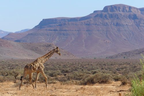 Quintessential Namibia