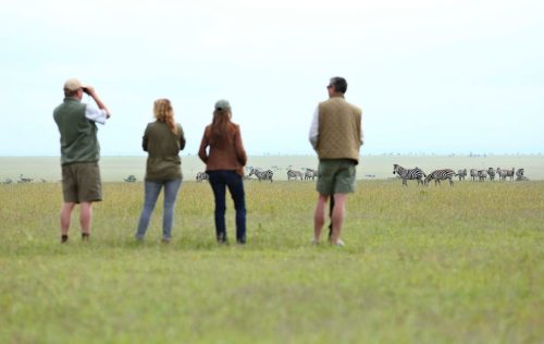 Classic Kenya Safari