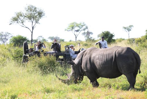 Luxury South Africa Safari