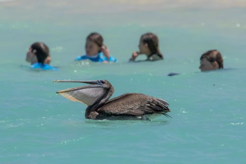 Galapagos by Land
