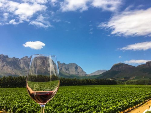South Africa Wine and Wildlife Safari