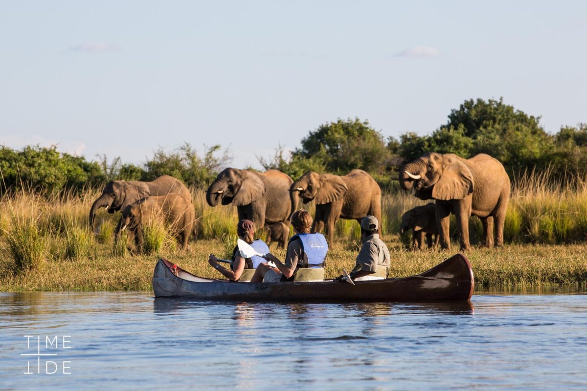 South Luangwa and Lower Zambezi Safari