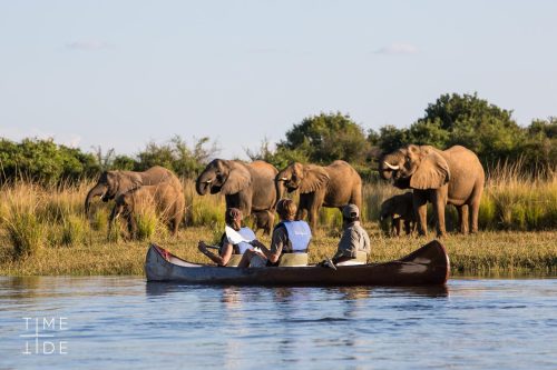 South Luangwa and Lower Zambezi Safari