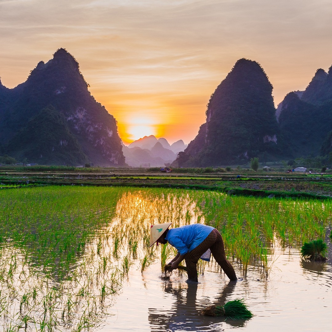 Vietnam