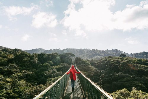 Wild Costa Rica