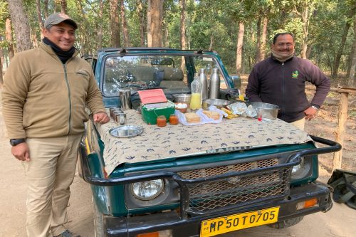 Wild India