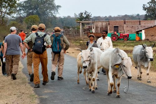 Wild India