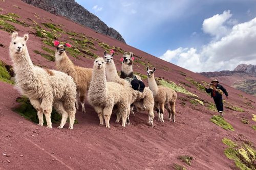 Ausangate Trek and Machu Picchu