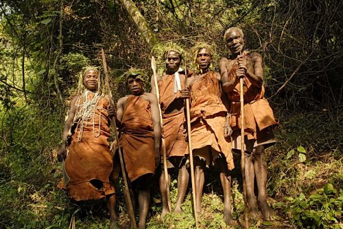 Uganda Gorilla Trekking Extension