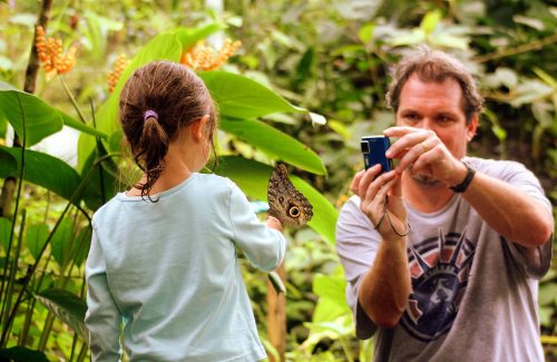 Amazon, Cloud Forest and Andes