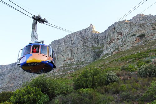 South Africa and Botswana Safari