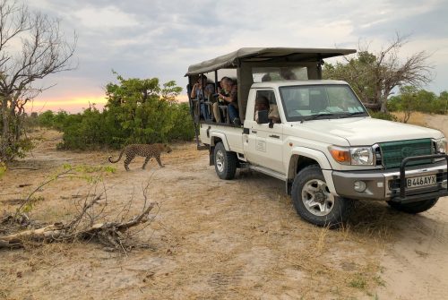 Botswana Camping Safari
