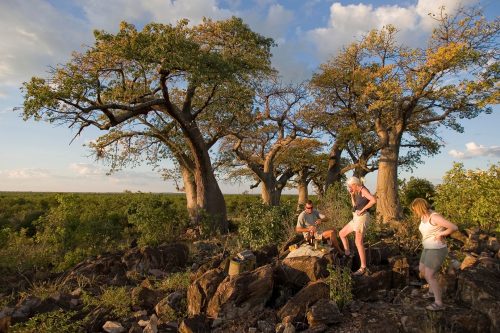 Botswana Camping Safari