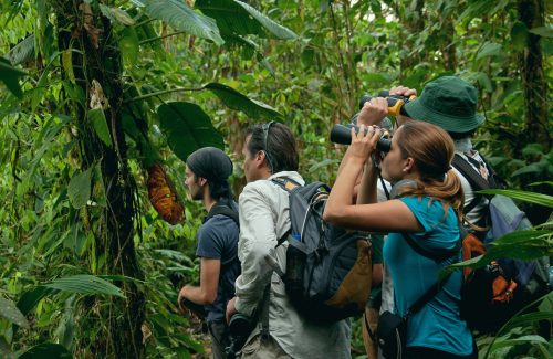 Amazon, Cloud Forest and Andes
