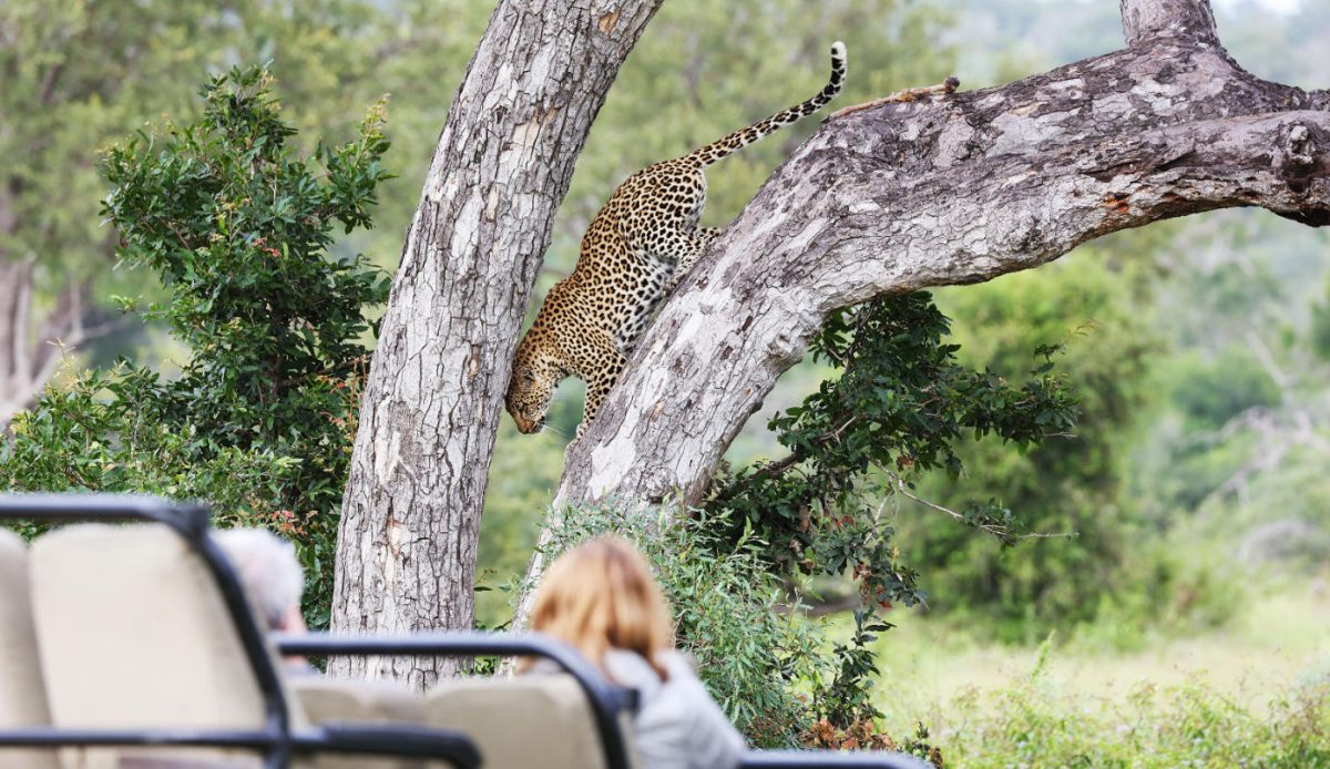 Luxury South Africa Safari