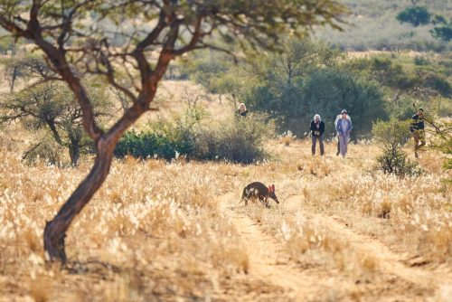Luxury South Africa Safari