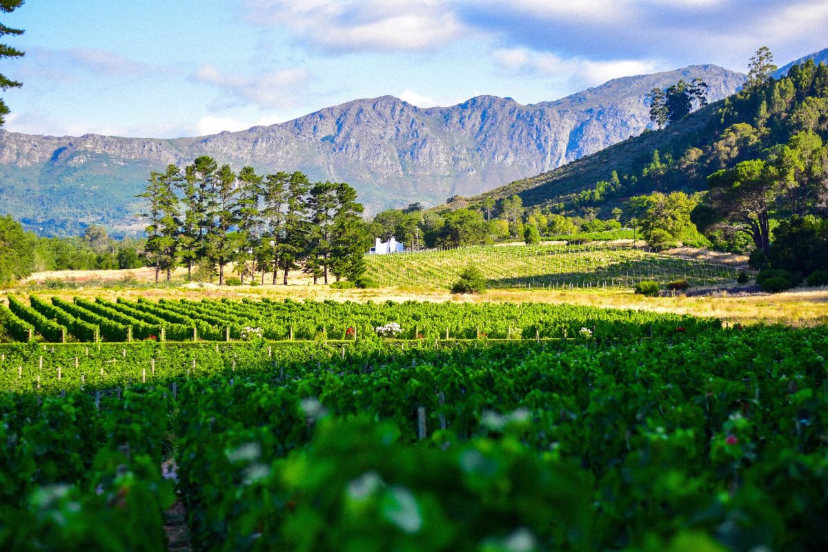 Cape Town Extension