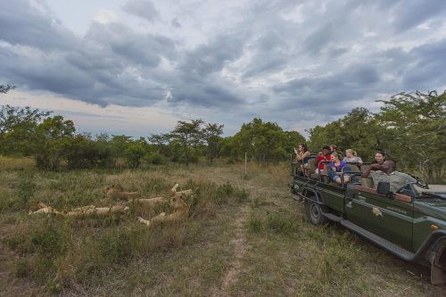 South Africa Bush and Beach Safari
