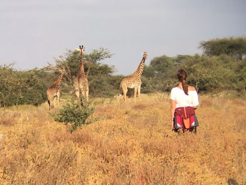 Maasailand Safari