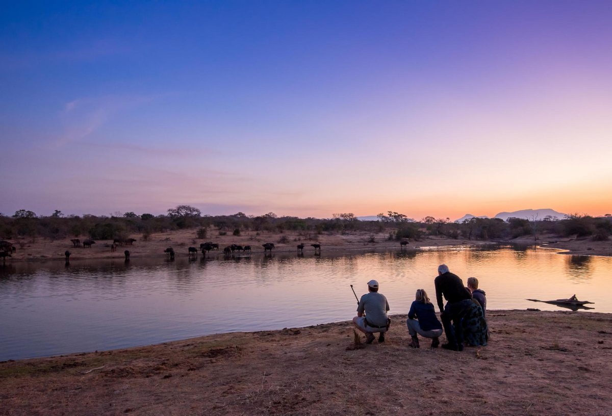 South Africa Bush and Beach Safari
