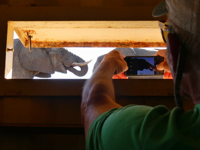 guest photographing an elephant from an underground hide, just meters away from the elephant
