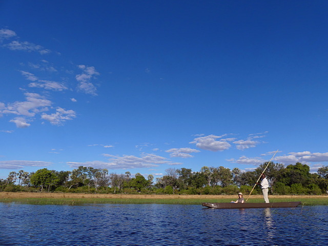 A guide poles a mokoro (dugout canoe) through deep blue waters of the Okavango Delta Botswana