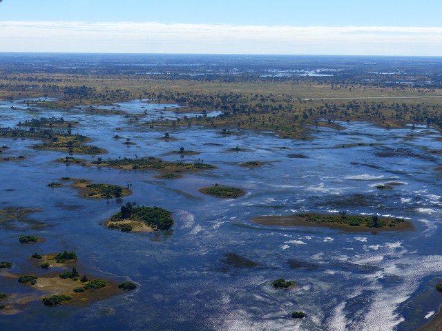 aerial view of the expansive wetlands of the Okavango Delta, with lots of deep blue water punctuated by islands of green