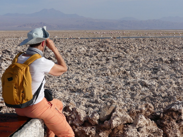 a hiker looking at flamingos and distant volcanos at Laguna Chaxa