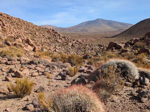 A rocky, cactus-studded landscape in Chile's Atacama Desert