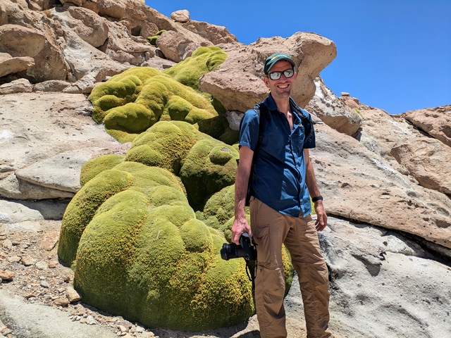 Man standing next to colorful green yareta plant against a red rock landscape in the atacama desert